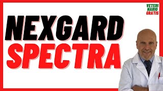 NEXGARD SPECTRA, Afoxolaner + Milbemicina Precio 🔴 136, 68, 28 mg para Perros con Pulgas, Garrapatas
