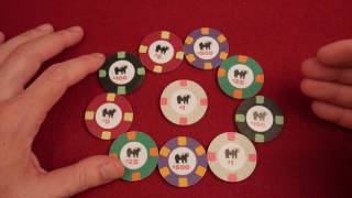 Rounders Poker Chips - The Great Poker Chip Adventure Season 02 Episode 12