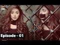 Shiza 1st Episode 11th March 2017 ARY Digital Drama 