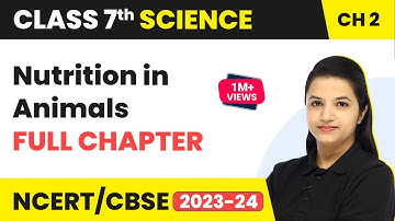 Class 7 Science Chapter 2 | Nutrition in Animals Full Chapter Explanation & NCERT Solutions