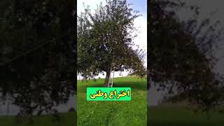 ۲۸ آوریل ۲۰۲۵