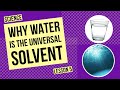 Understanding Water as a Universal Solvent
