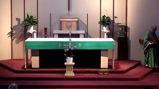 12th Sunday in Ordinary Time - 06/21/2026