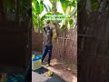 কুল্লু নাফসি জায়িকাতুল ময়ুত #youtubeshorts #shortviral #unfrezzmyaccount #quran