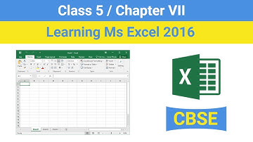 Class 5 Chapter 7 - Learning Ms Excel 2016 | CBSE based Learning Ms Excel 2016