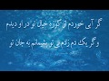 دگرباره بشوریدم بدان سانم به جان تو مولانا جلال الدين محمد بلخي دگرباره بشوریدم بدان سانم به جان تو مولانا جلال الدين محمد بلخي