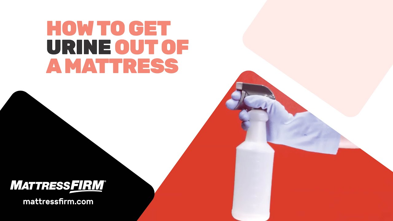 How To Clean A Mattress Urine Stains