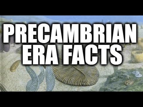 प्रीकैम्ब्रियन एरा फैक्ट्स - प्रीकैम्ब्रियन एरा के बारे में हम क्या जानते हैं?