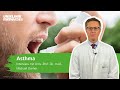 Capture de la vidéo Asthma bronchiale: Interview mit Univ.-Prof. Dr. med. Michael Dreher