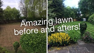 Lawn transformations from 2020 - TruGreen