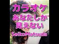 カラオケ「あなたしか見えない」松田聖子☆歌詞付き