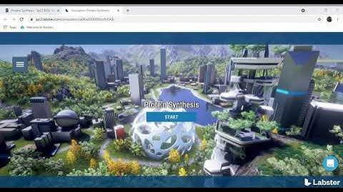 Simulation  Protein Synthesis   part 1