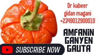 Ganyen Jan gauta da magungunan sa