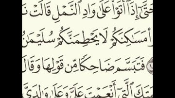 سورة النمل: الآيات 16 - 19