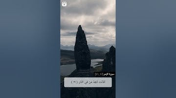 سورة الزمر [17-21]