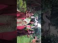 Hook Raja Ji pe full desi swag! 🔥🎶