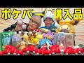 【合計10万円】大人気すぎて入場すら出来ないポケパークの購入品紹介します！！！