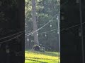 Tannerite vs bike part 3