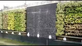 Creating Green Masterpieces: A Creative Wall Garden By creativegardendesign.in