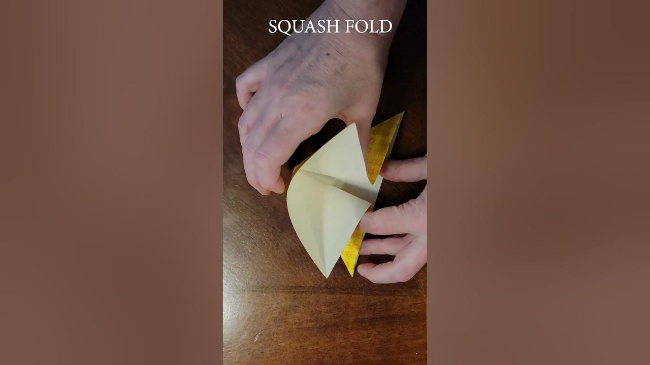 Squash Fold Origami Basics Quick Origami Glossary origami 