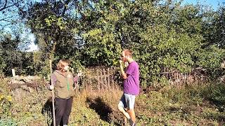 4 filmoj de konscienco