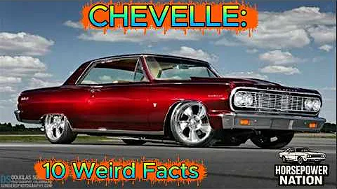 CHEVELLE: 10 Weird Facts (All the stuff you DON'T know!)
