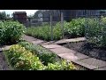 Time Lapse Vegetable Plot