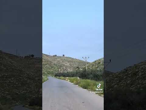 حبني على كيفك حبني على كيفك سميتك ولف القلب سميني وليفك