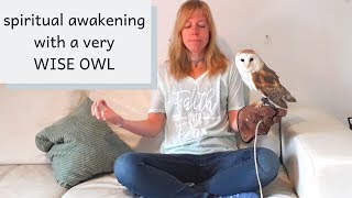 My spiritual awakening story with a VERY WISE OWL