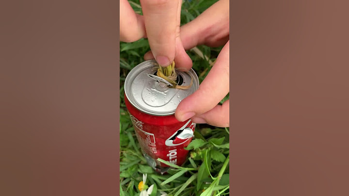 Easy Bee Repellent: Using Smoke in the Field | Quick Bee Control Tips