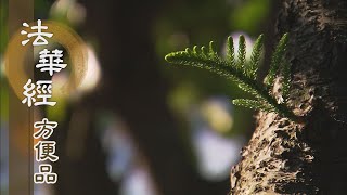 【靜思妙蓮華】法華經方便品 - 誓願度眾生 - 20200703 第361集