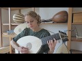 Ieva Baltmiskyte plays A Fancy  by John Dowland on 8 course lute by Muzikkon