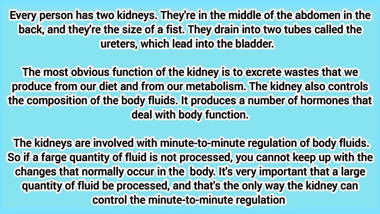 ترمونولجي للصف الثاني الثانوي تمريض/the kidneys الوحده الثامنه
