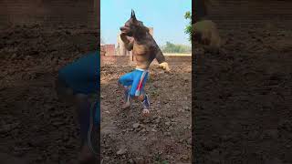 part. 66Wolf Near Village #wolf #wildlife #forest #nature #wolfsounds #horror