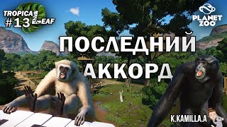 видео: PLANET ZOO — ПОСЛЕДНИЙ АККОРД | TROPICAL LEAF #13 ФИНАЛ | ПЕСОЧНИЦА | ВОЛЬЕР ДЛЯ ГИББОНА И СИАМАНГА картинка: PLANET ZOO — ПОСЛЕДНИЙ АККОРД | TROPICAL LEAF #13 ФИНАЛ | ПЕСОЧНИЦА | ВОЛЬЕР ДЛЯ ГИББОНА И СИАМАНГА