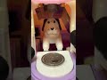 🐶ASMR #live #shorts #asmris live! #shorts live ASMR Live🏠💰🐶