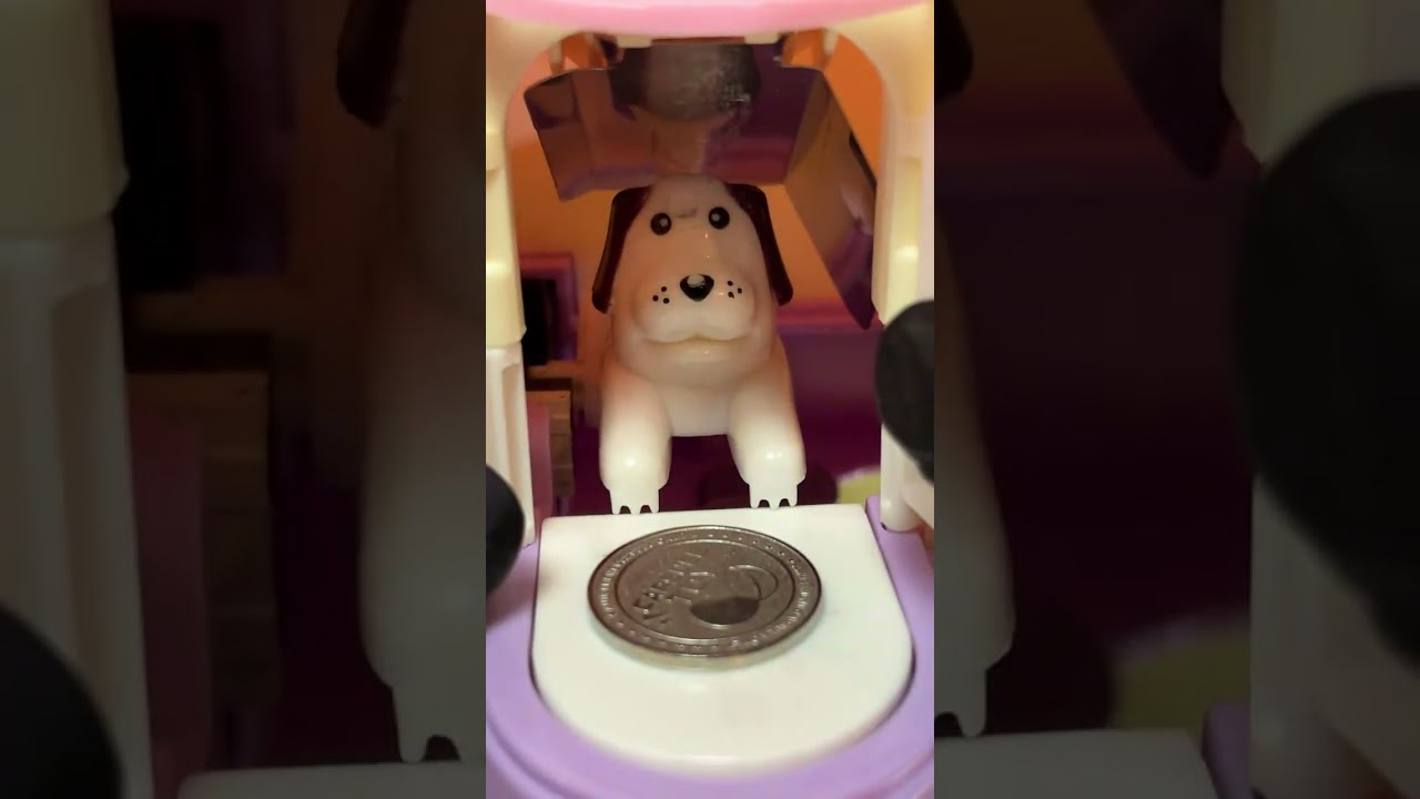 🐶ASMR #live #shorts #asmris live! #shorts live ASMR Live🏠💰🐶