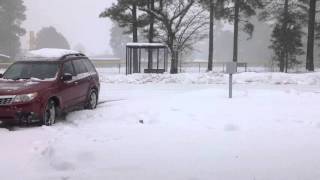 Snow at the Pinetop-Lakeside Public Library