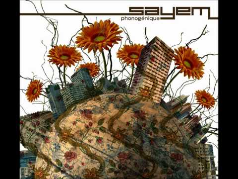 Sayem The Pixies VS The Beastie Boys 