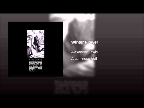 Alexander Lewis — Winter Flower