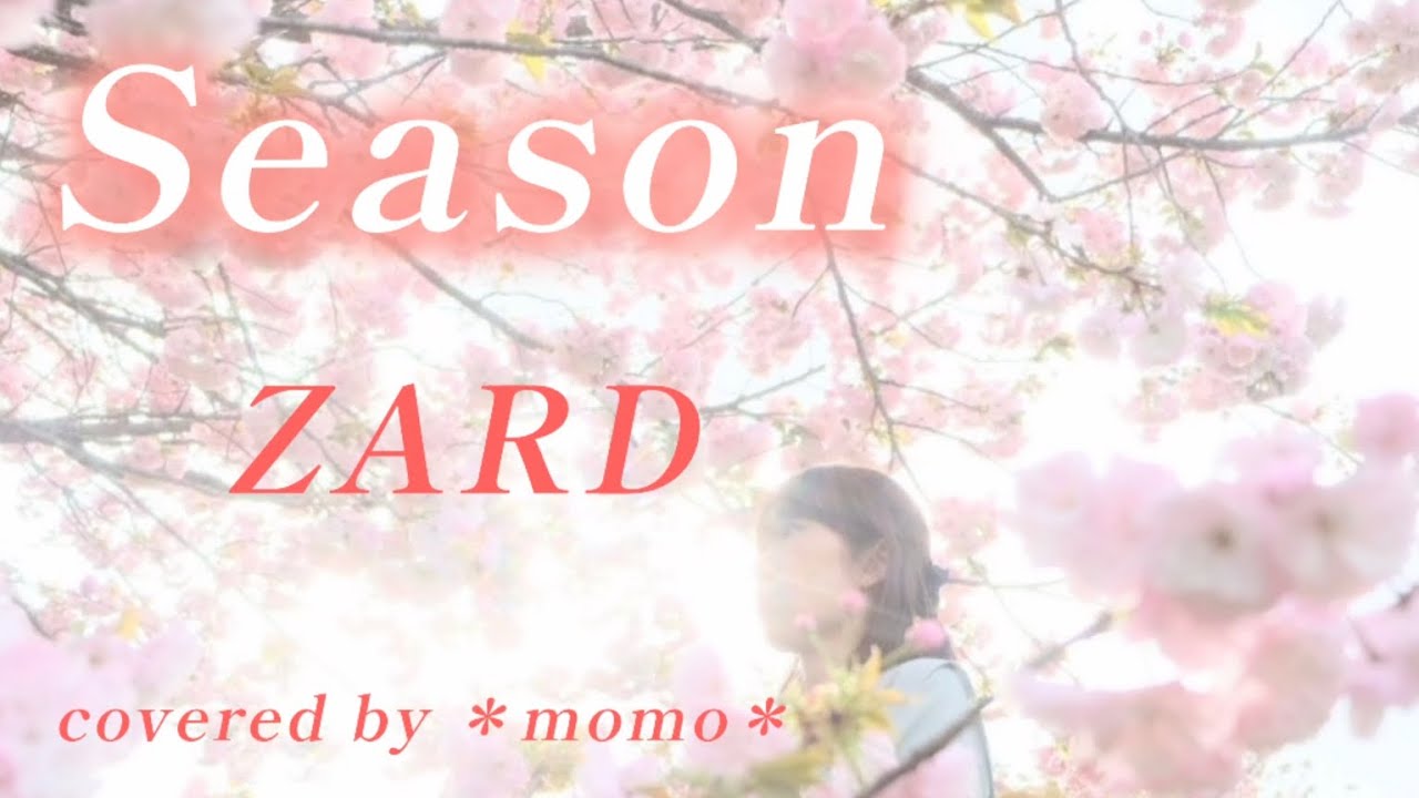 cover】Season ZARD covered by ＊momo＊ - YouTube