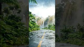 Rainy Day in Paradise 🌲🌨 | 4K Cinematic Nature #forest #nature #monsoon #rainyweather #vibes #peace