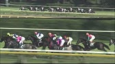 競馬 すごい追い込み ウォーシップマーチ Youtube 競馬 すごい追い込み ウォーシップマーチ Youtube