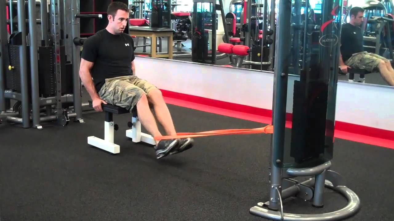 Image result for standing leg extension with band