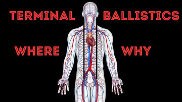 Terminal Ballistics - The Where & Why