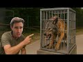 I TRAPPED The HYBRID PREDATOR INVADING My ZOO I TRAPPED The HYBRID PREDATOR INVADING My ZOO
