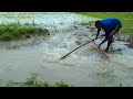 Really amazing push net fishing in rainy day  best fish catch by net awesome net fishing