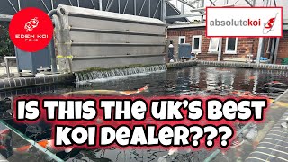 Is this the UK’s best koi dealer??? An “ABSOLUTE” stunning place with AMAZING koi!!