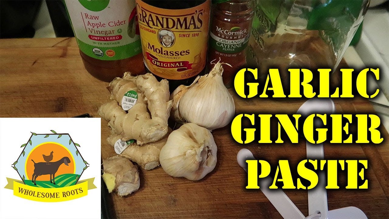 Roots Organic - Paste Garlic Organic