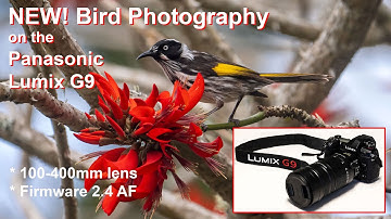 NEW BIRD PHOTOS on the Panasonic G9 with 100-400mm lens